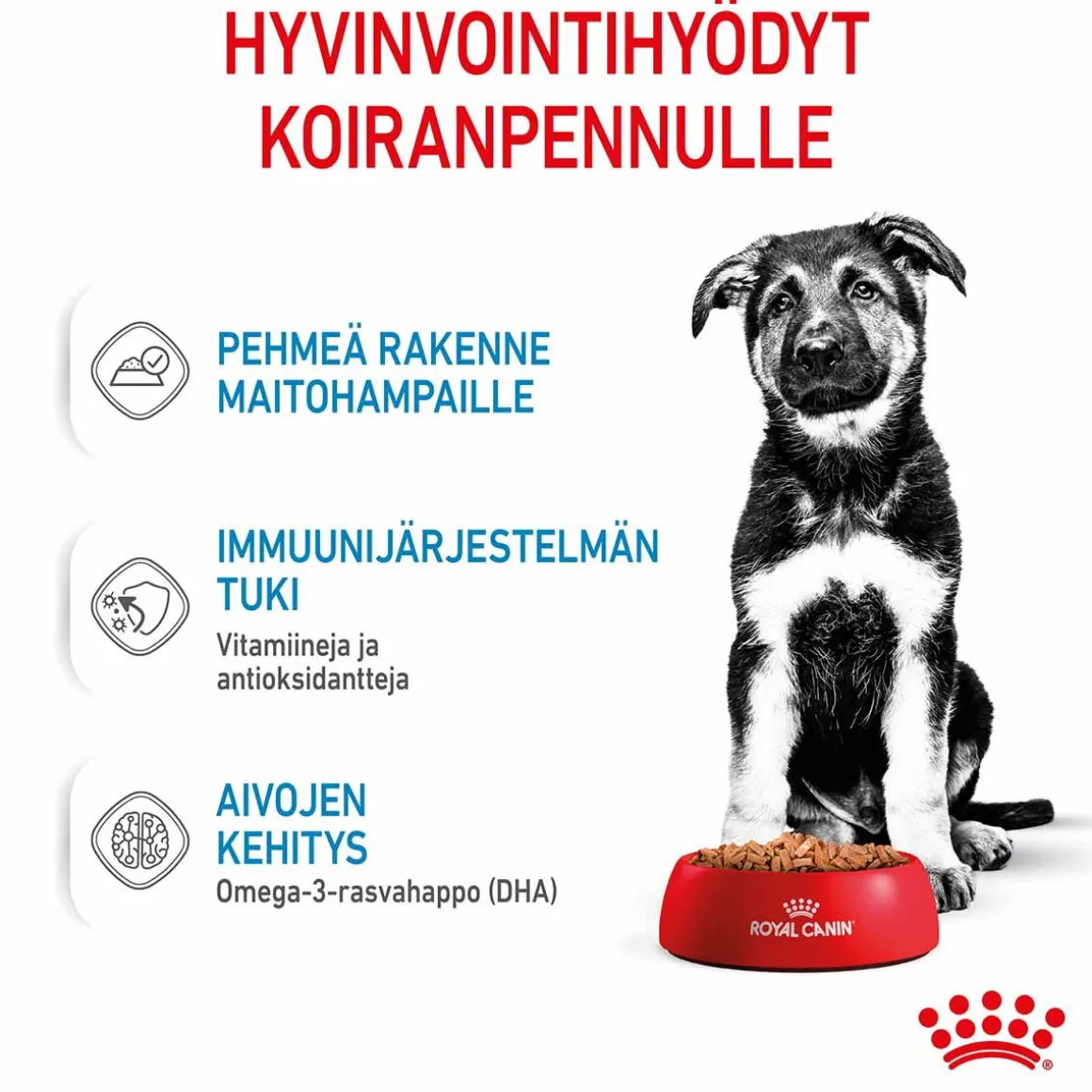 Royal Canin Maxi Puppy 40x140 g