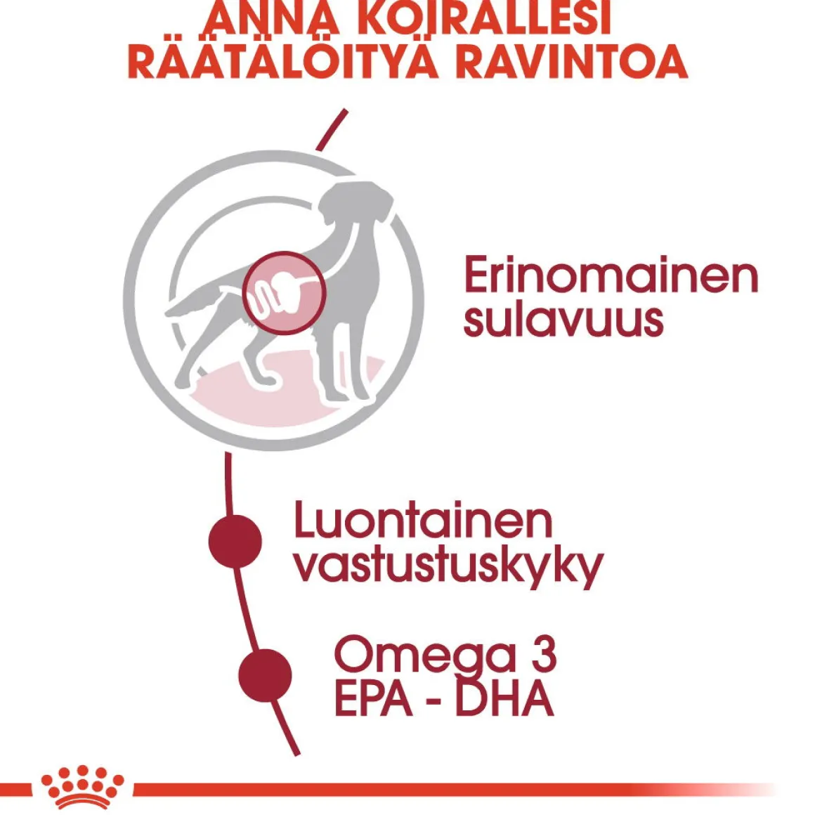 Royal Canin Medium Adult Wet 10x140g