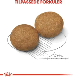 Royal Canin Medium Adult 2 x 15 kg