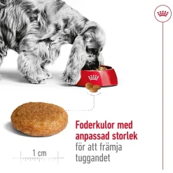 Royal Canin Medium Adult 2 x 15 kg
