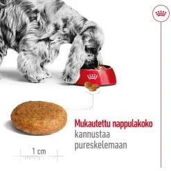 Royal Canin Medium Adult 2 x 15 kg