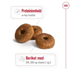 Royal Canin Medium Ageing 10+ 2 x 15kg