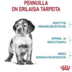 Royal Canin Medium Puppy
