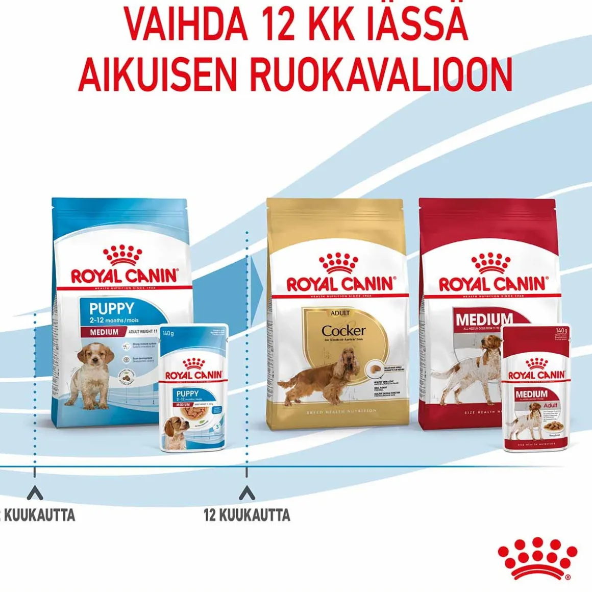 Royal Canin Medium Puppy Wet 10x140g