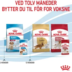 Royal Canin Medium Puppy 40x140 g