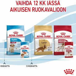 Royal Canin Medium Puppy 40x140 g
