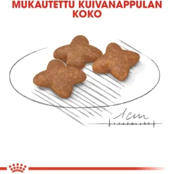 Royal Canin Mini Adult