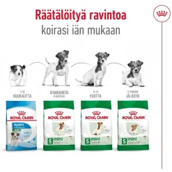 Royal Canin Mini Adult 8+