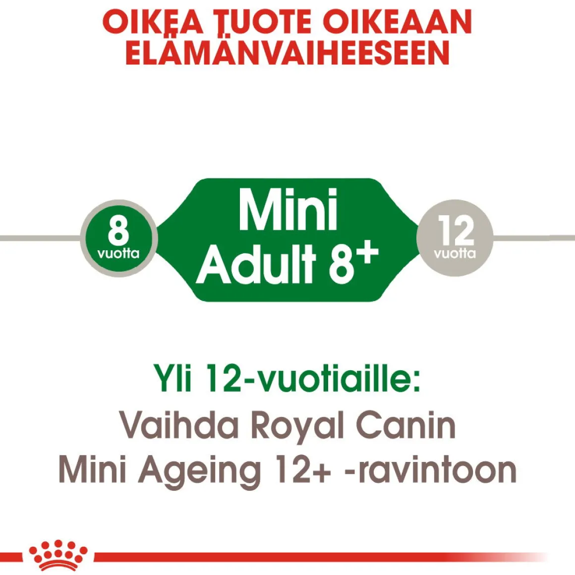 Royal Canin Mini Adult 8+