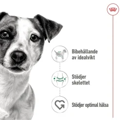 Royal Canin Mini Adult 48 x 85 g