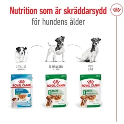 Royal Canin Mini Adult 48 x 85 g