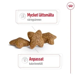 Royal Canin Mini Adult 2 x 8 kg