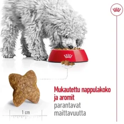 Royal Canin Mini Adult 2 x 8 kg