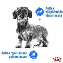 Royal Canin Mini Light Weight Care