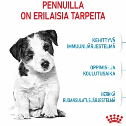 Royal Canin Mini Puppy 2 x 8kg