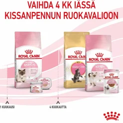 Royal Canin Mother & Babycat
