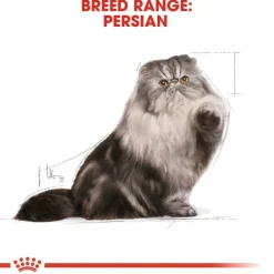 Royal Canin Persian Loaf 85g, 48-pack