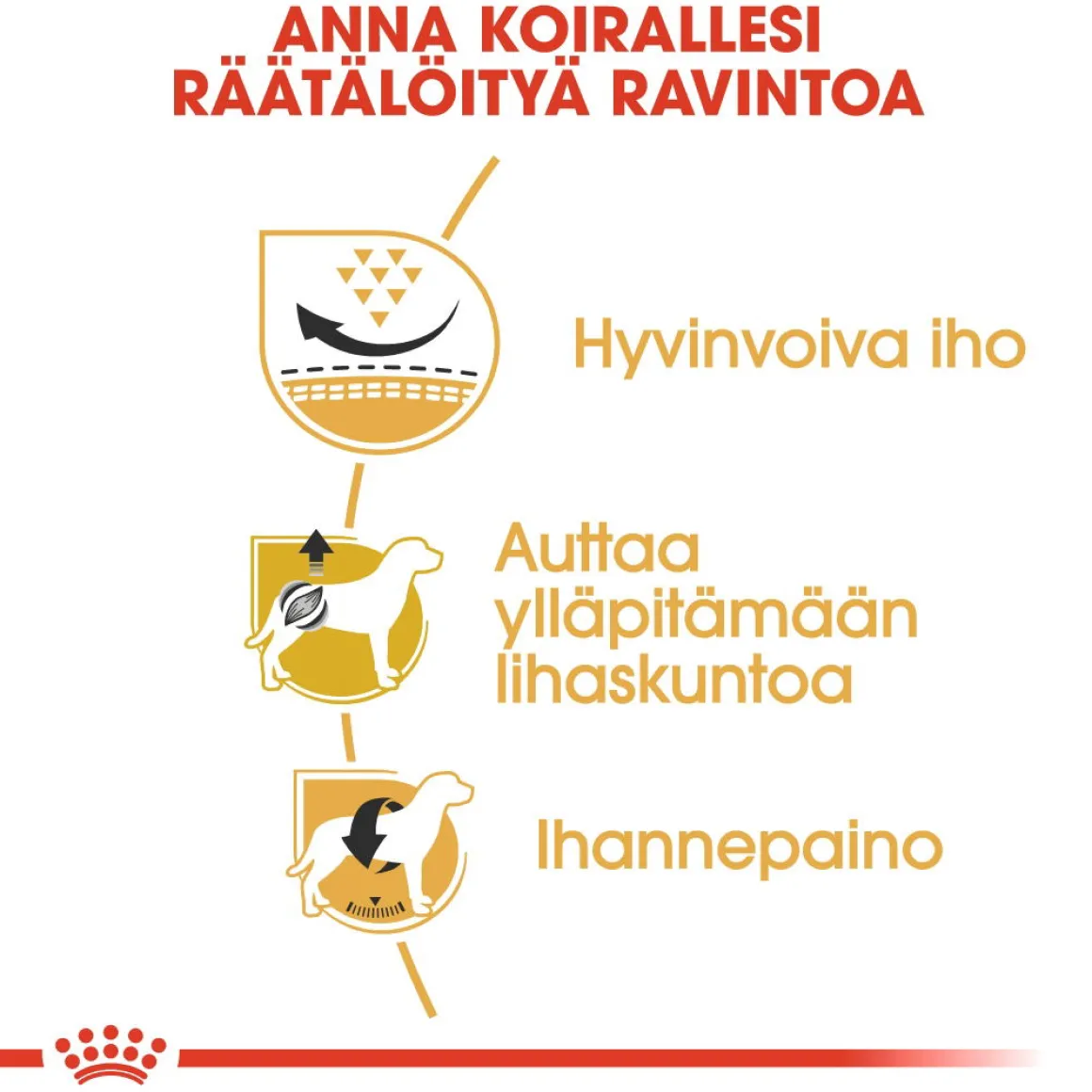 Royal Canin Pug Adult