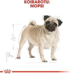 Royal Canin Pug Adult