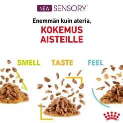 Royal Canin Sensory Feel Gravy 85g, 48-pack