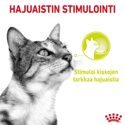 Royal Canin Sensory Mixed box Gravy 85g, 48-pack