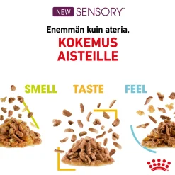 Royal Canin Sensory Mixed box Gravy 85g, 48-pack
