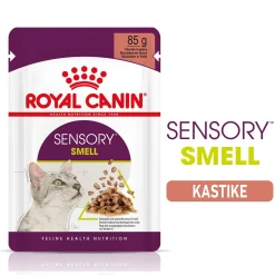 Royal Canin Sensory Smell Gravy, 12x85g