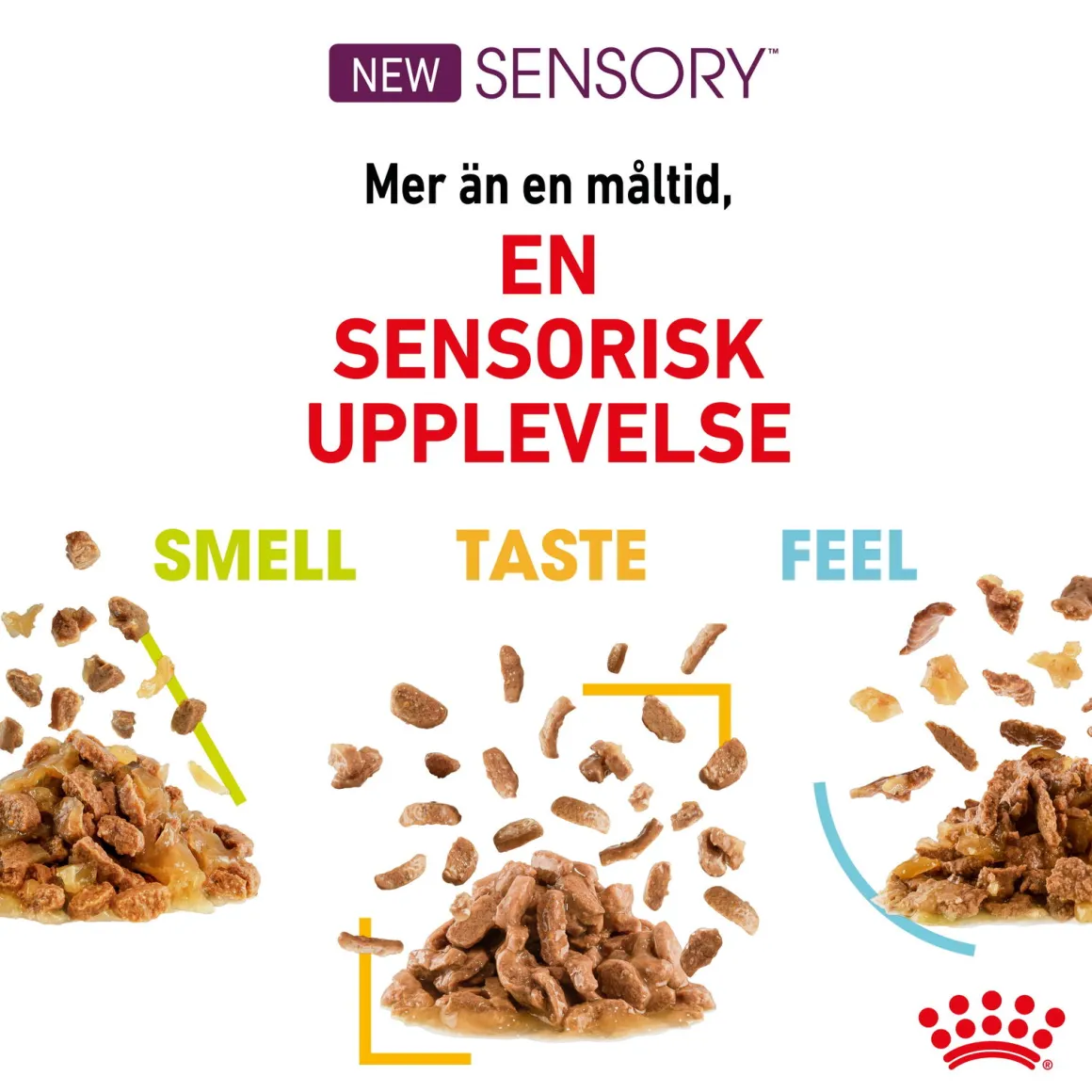 Royal Canin Sensory Taste Gravy 85g, 48-pack
