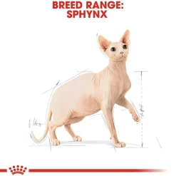 Royal Canin Sphynx