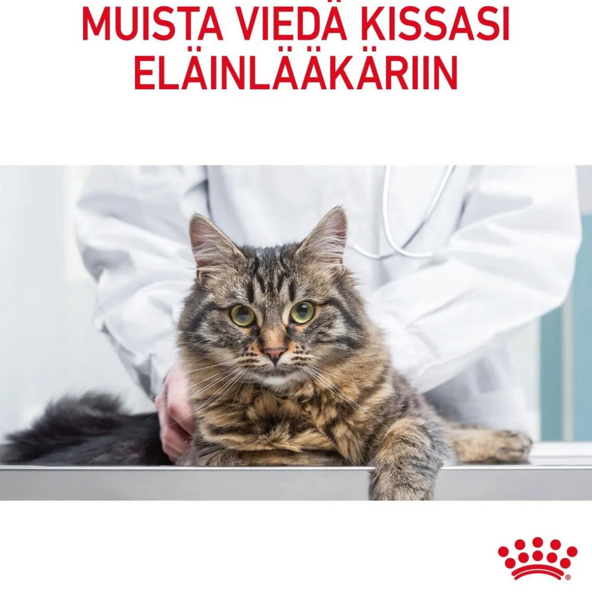 Royal Canin Ultra Light Jelly 85g, 48-pack