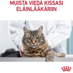 Royal Canin Urinary Care Gravy 12x85g