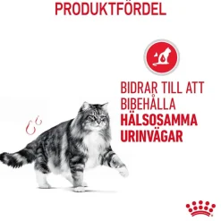 Royal Canin Urinary Care Gravy 85g, 48-pack