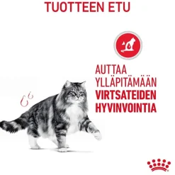 Royal Canin Urinary Care Gravy 85g, 48-pack