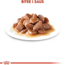 Royal Canin Urinary Care Gravy 85g, 48-pack