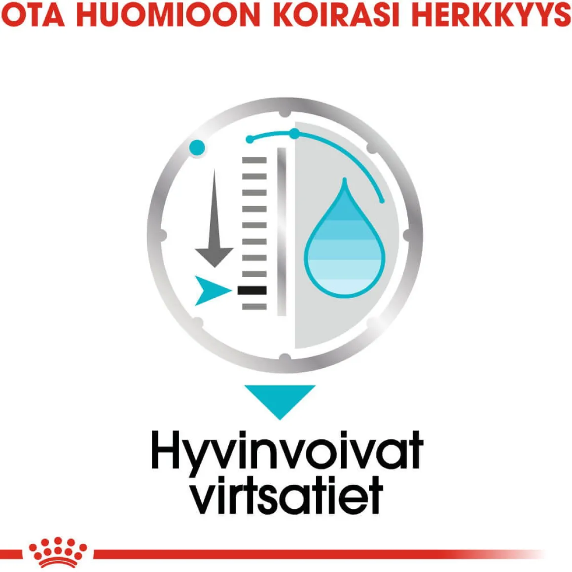 Royal Canin Urinary Care wet 12 x 85 g
