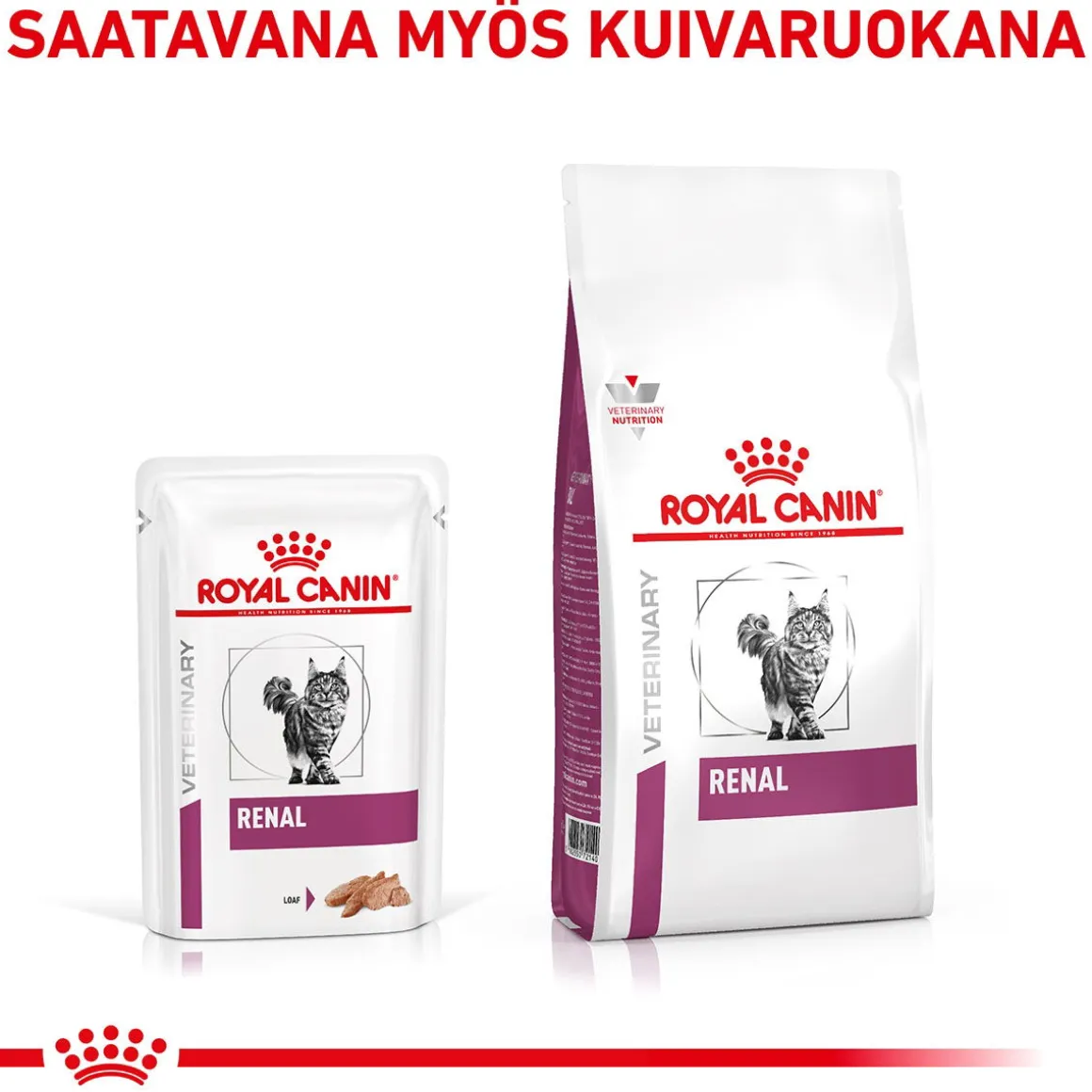 Royal Canin Veterinary Cat Vital Renal Loaf 12x85 g