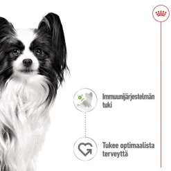 Royal Canin XS Adult märkäruoka 12 x 85 g