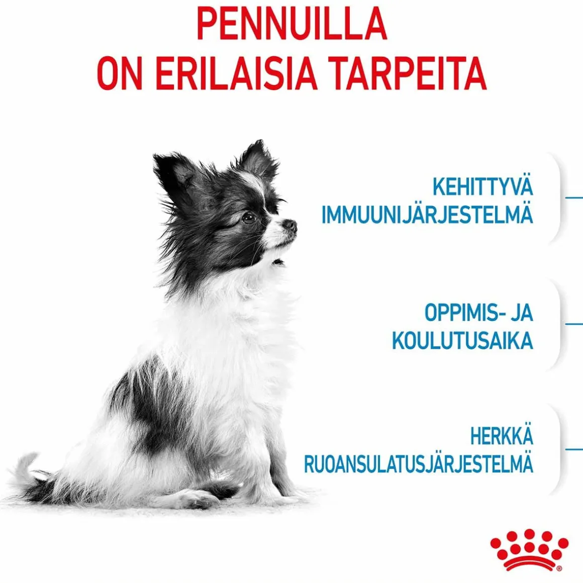 Royal Canin X-Small Puppy