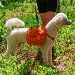 Ruffwear Approach Pack reppu koiralle, oranssi