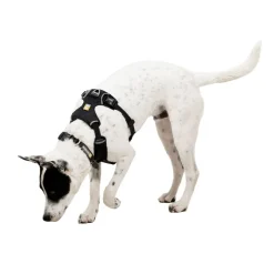 Ruffwear Front Range Flex valjas, Basalt Gray
