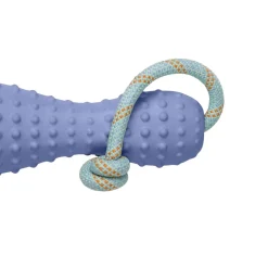 Ruffwear Gourdo -koiran heittolelu, violetti