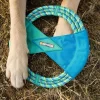 Ruffwear Pacific Ring koiranlelu, turkoosi