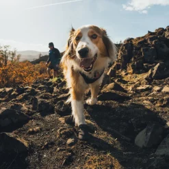 Ruffwear Ridgeline -koiran kengät