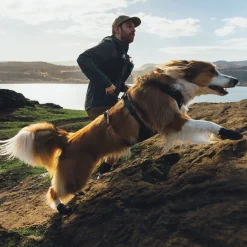 Ruffwear Ridgeline -koiran kengät