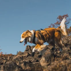 Ruffwear Ridgeline -koiran kengät