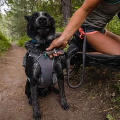 Ruffwear Roamer joustotalutin, harmaa