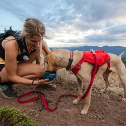 Ruffwear Switchbak -koiran valjaat, punainen