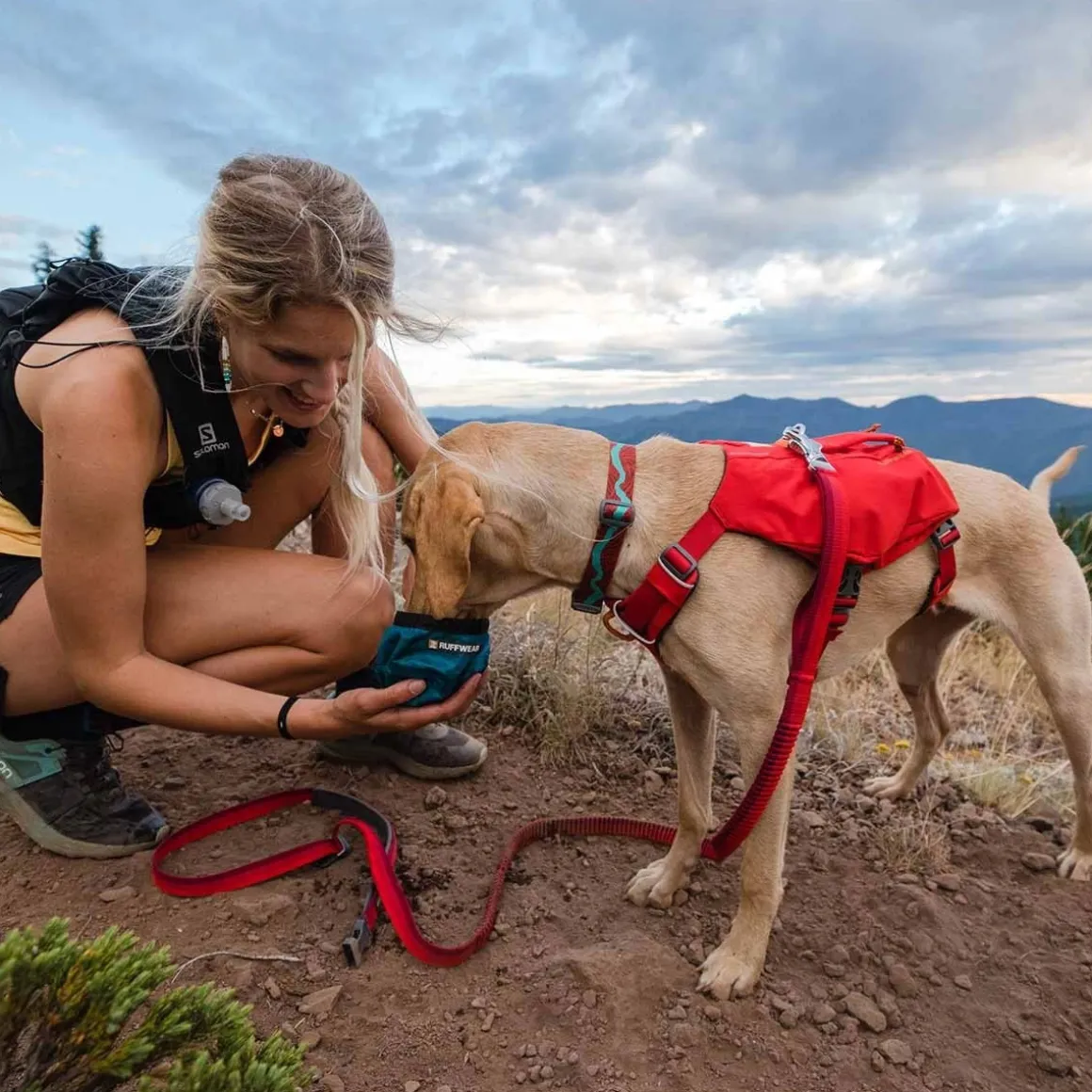 Ruffwear Switchbak -koiran valjaat, punainen