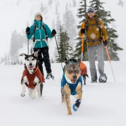 Ruffwear Vert koiran talvitakki, sininen