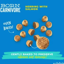 Schesir Born Carnivore silli & lohi